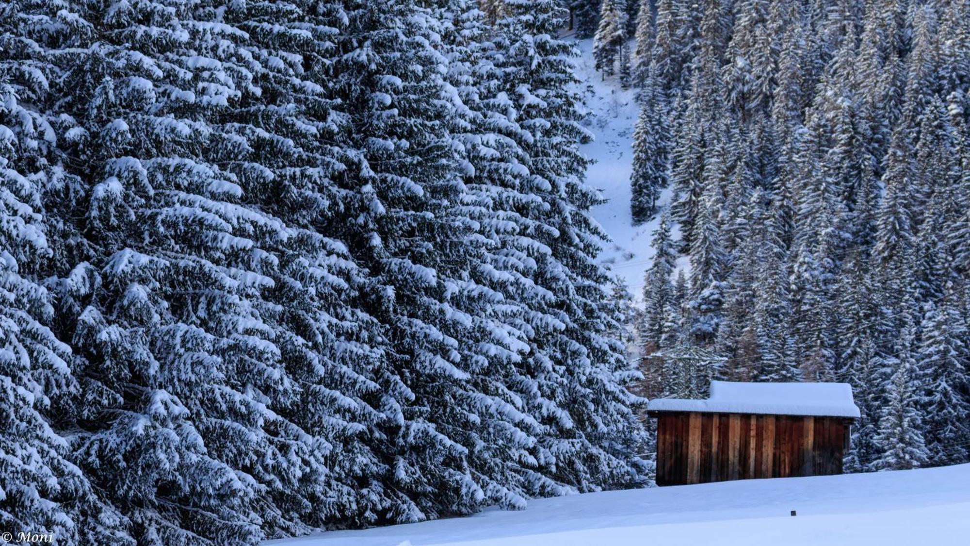 Ferienwohnung Haus Timmler St. Anton am Arlberg Exterior foto