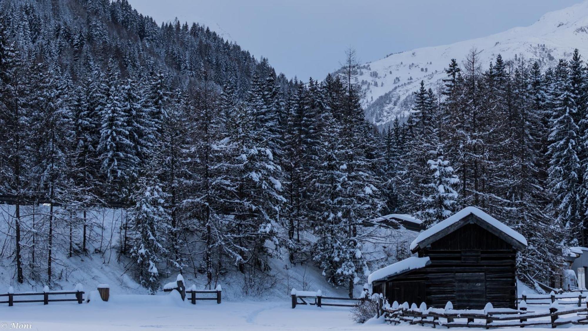 Ferienwohnung Haus Timmler St. Anton am Arlberg Exterior foto